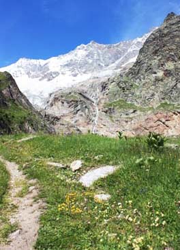 �V���s�[���{�[�f��3