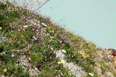 �}�b�g�}�[�N