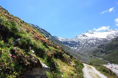 �}�b�g�}�[�N2