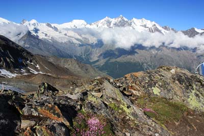 �����e���[�U