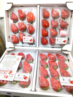 宅配用いちご4パック組み