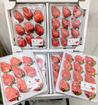 宅配用いちご6パック組み