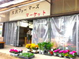 新鮮野菜販売中