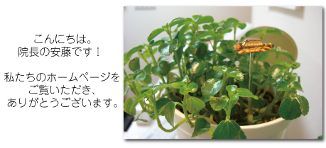 �X�^�b�t�ꓯ