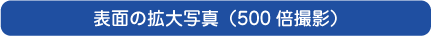 �\�ʂ̊g��ʐ^