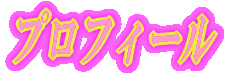�v���t�B�[��