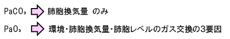 動脈血酸素分圧(PaO2)と動脈血二酸化炭素分圧(PaCO2)の規定因子