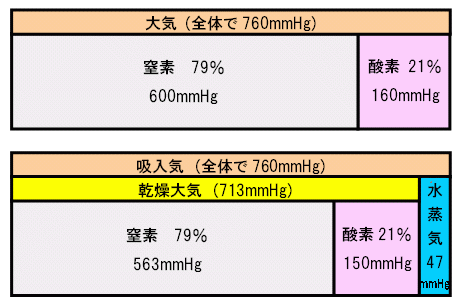 吸入気酸素分圧(PIO2)