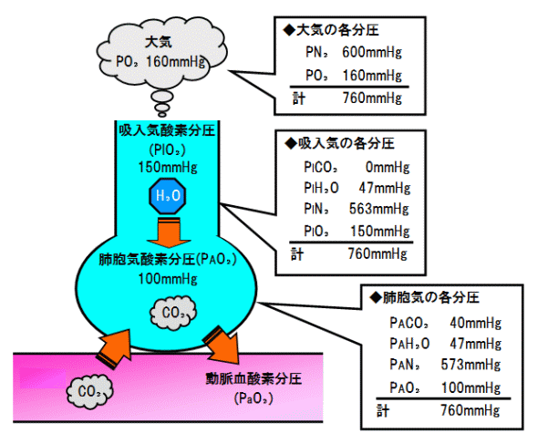 xECłO<sub>2</sub>CO<sub>2</sub>̊֌W