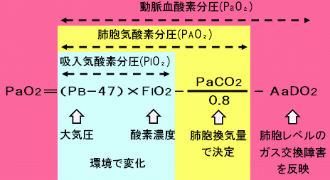 動脈血酸素分圧(PaO2)