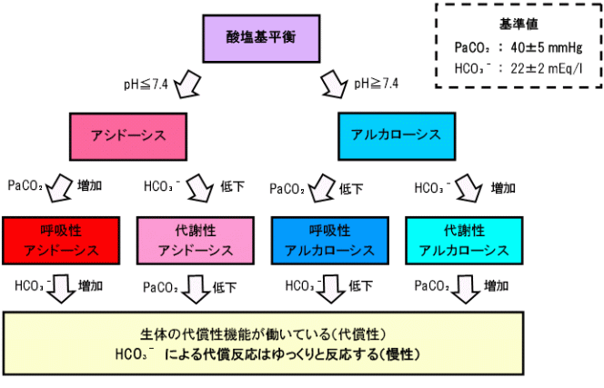 酸塩基平衡障害の診断