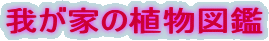 �䂪�Ƃ̐A���}��