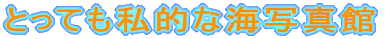 �C�ʐ^��