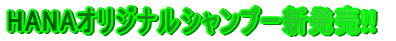 HANA�I���W�i���V�����v�[�V����!!