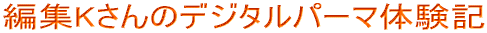 �ҏWK����̃f�W�^���p�[�}�̌��L