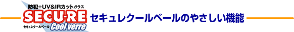 �Z�L�����N�[���x�[���̂₳�����@�\