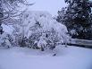 ��̍g�t03/12/20
