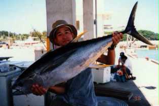 yellowfin