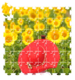�m�o�n�@�l�S���킴�퉪�{����
