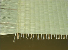 �Ȗ��l�c�\�i�Ȃv�\�j