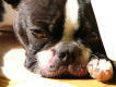 �C����������`zzz