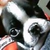 �Ղ�Ղ�Ղ肿�`�`�`�i���Oo�O���j