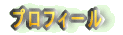 �v���t�B�[��