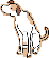 �H���Ō��N�@�@����
