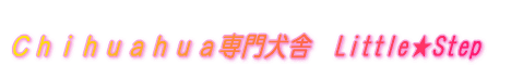 
�b������������������匢�Ɂ@Little��Step
