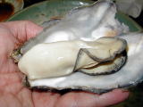 kJĉ݂ƂłBɂĂ(^o^)^