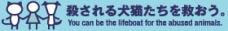 ���E�L�r�n�r�I