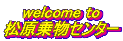 welcome to
敨Z^[
