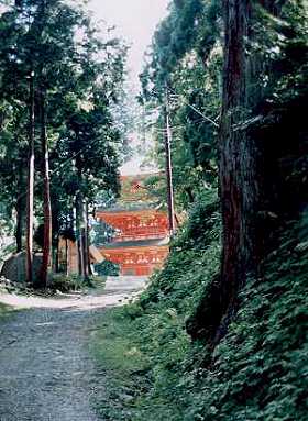 参道から望む三重の塔