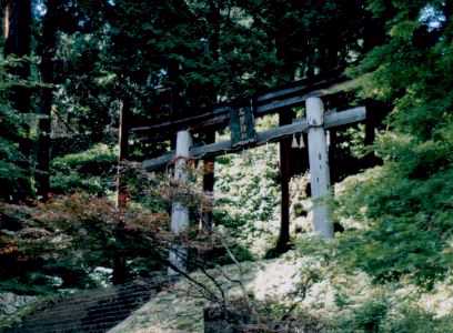 塔から神社に向かう参道