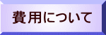 ��p�ɂ���
