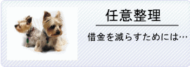 �C�Ӑ���/������