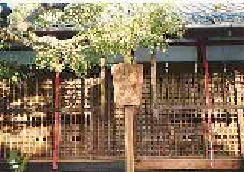 腖��l�̂���