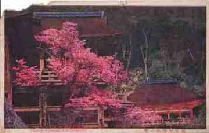 �������n��m�N