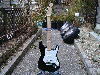 Eric Clapton model Blackie(Noiseless Pickup)