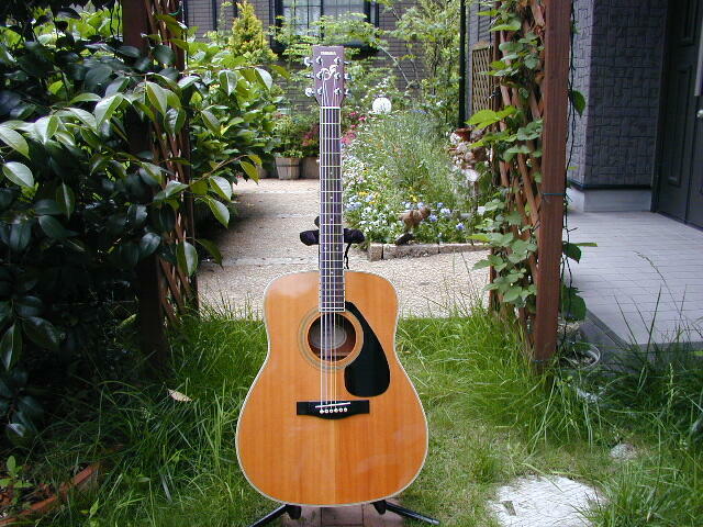 FG-421(1994)