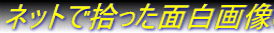 �l�b�g�ŏE�����ʔ��摜(�l�R)