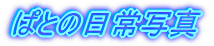 �ςƂ̓���ʐ^