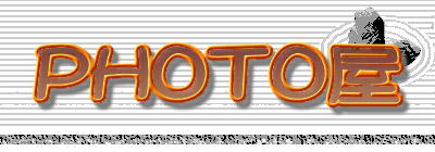 �o�g�n�s�n��
