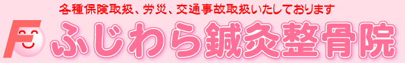 �ӂ�����I�������@