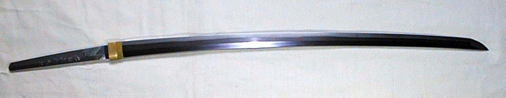 ���̎ʐ^���ȁH