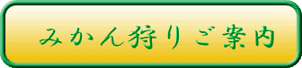 �W�H���݂�����