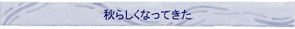 �H�炵���Ȃ��Ă���