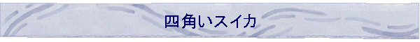 �l�p���X�C�J