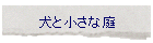 ���Ə����Ȓ�