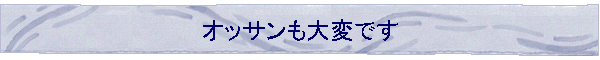 �I�b�T������ςł�